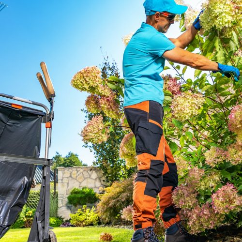 Backyard Garden Seasonal Maintenance