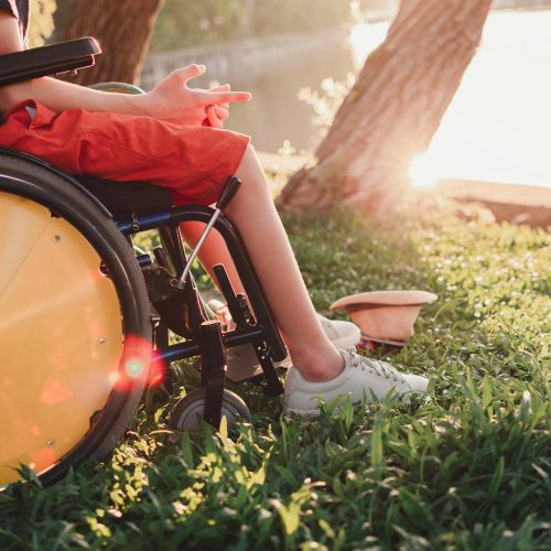 Disabled person in wheelchair