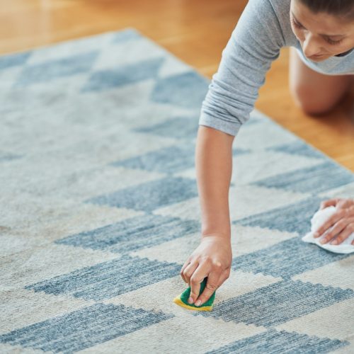 Picture of hand with sponge cleaning carpet