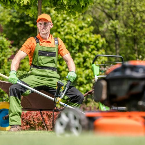 Professional Garden Maintenance