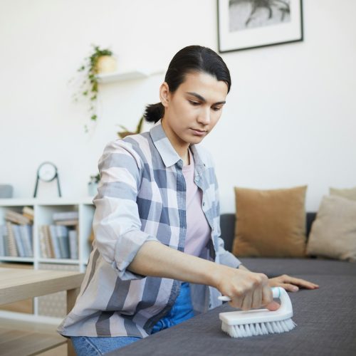 Woman cleaning the sofa